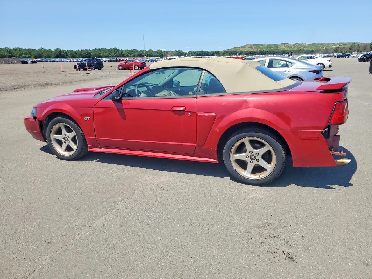 2003 Ford Mustang Gt Red vin: 1FAFP45XX3F388493