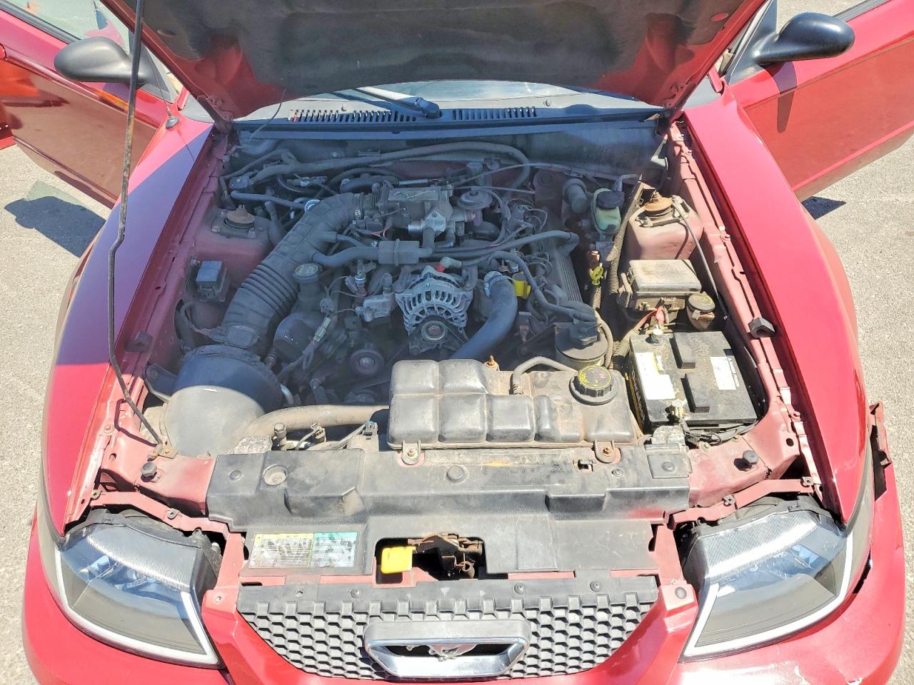 2003 Ford Mustang Gt Red vin: 1FAFP45XX3F388493