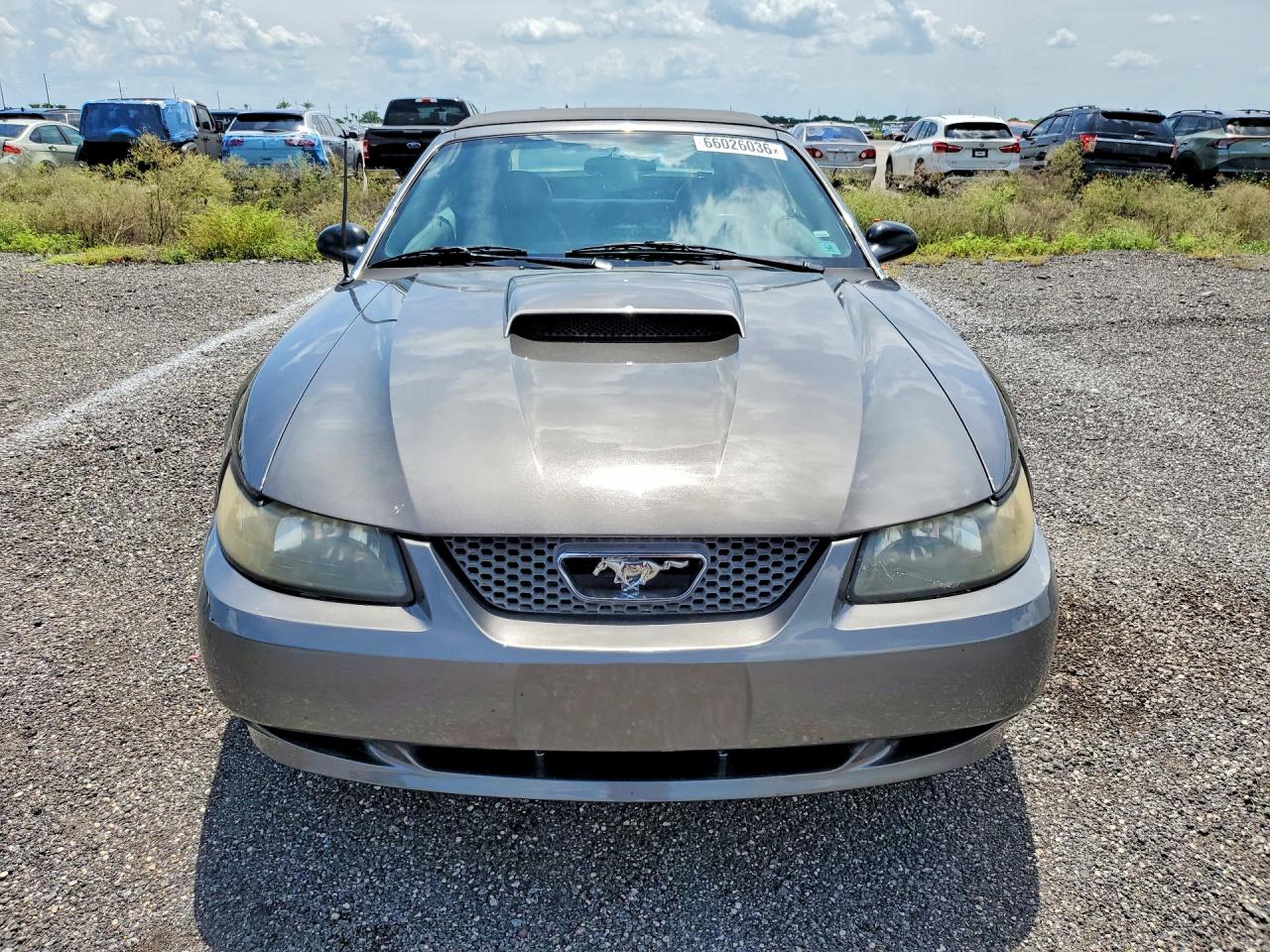 2004 Ford Mustang Gt Gray vin: 1FAFP45XX4F210746