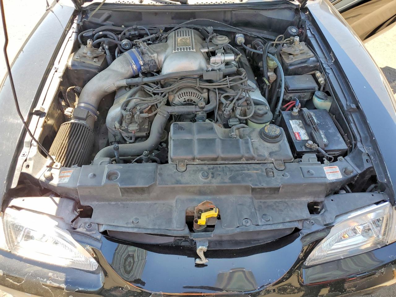 1998 Ford Mustang Cobra Black vin: 1FAFP46V1WF165647