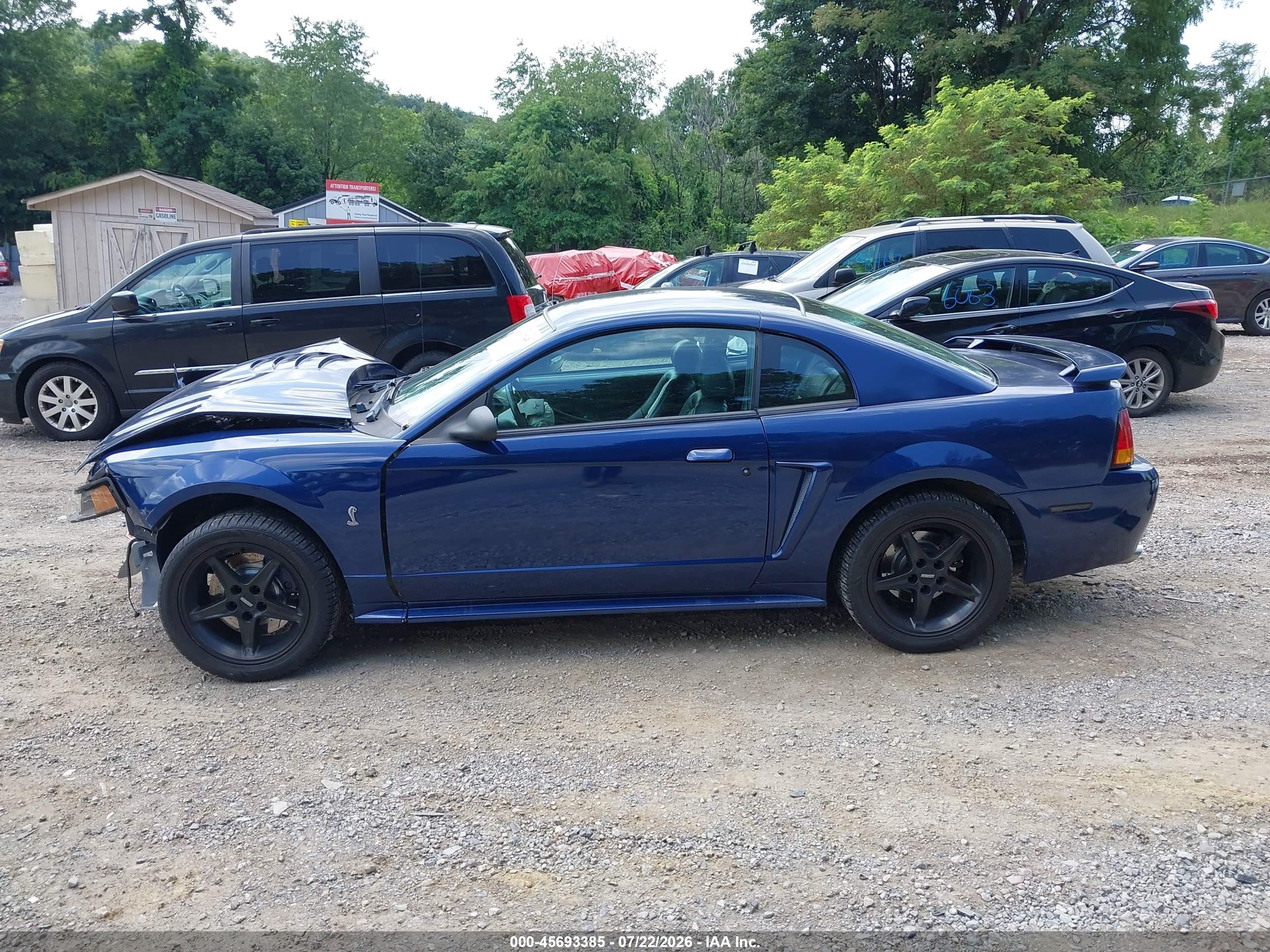 2001 Ford Mustang Cobra Blue vin: 1FAFP47V01F231869