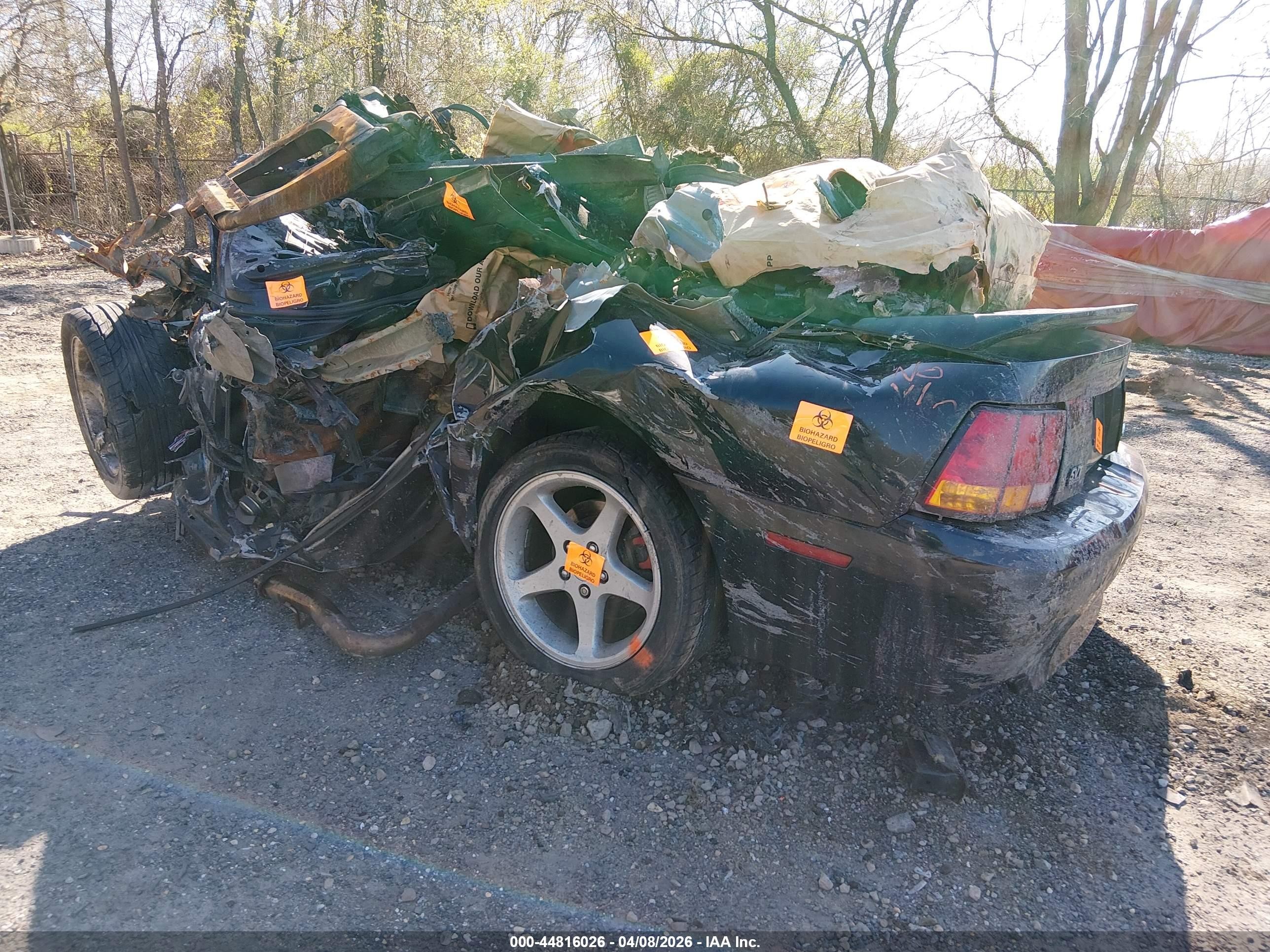 1999 Ford Mustang Cobra Black vin: 1FAFP47V2XF155824