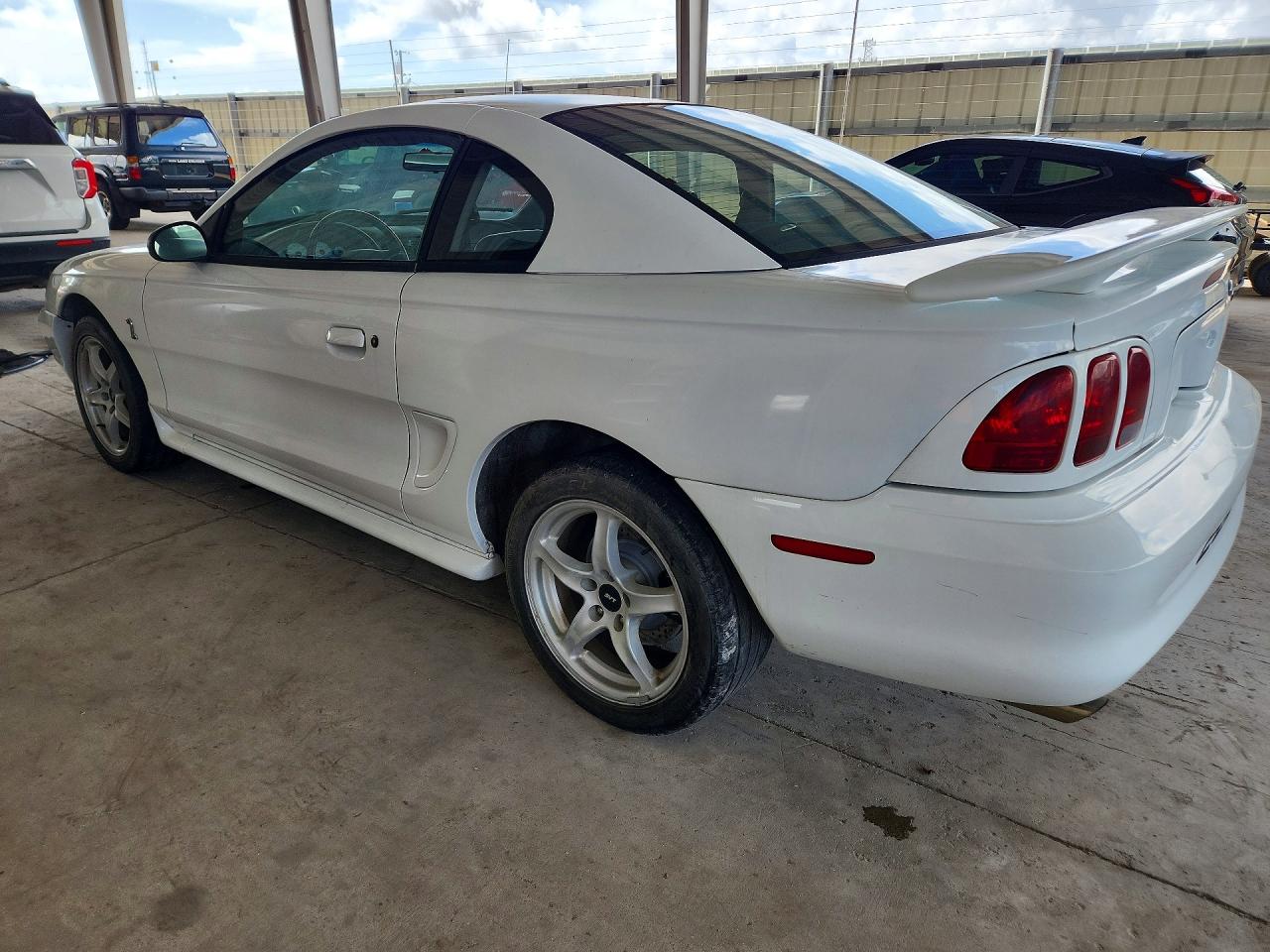 1998 Ford Mustang 50th Anniversary White vin: 1FAFP47V4WF193876