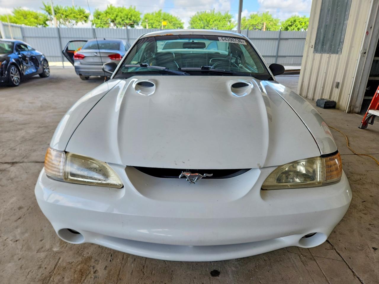 1998 Ford Mustang 50th Anniversary White vin: 1FAFP47V4WF193876
