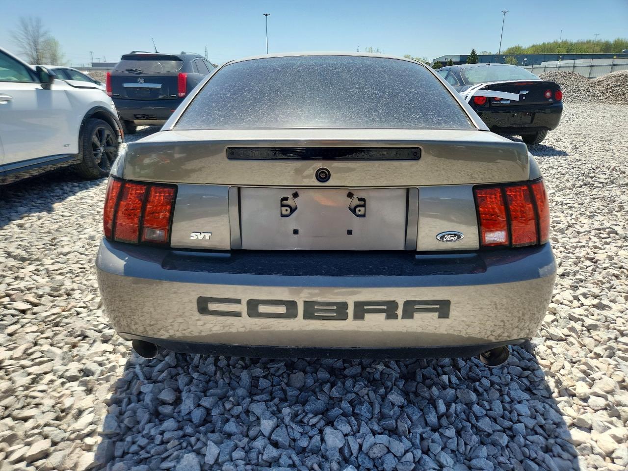2003 Ford Mustang Cobra Svt Gray vin: 1FAFP48Y93F300084