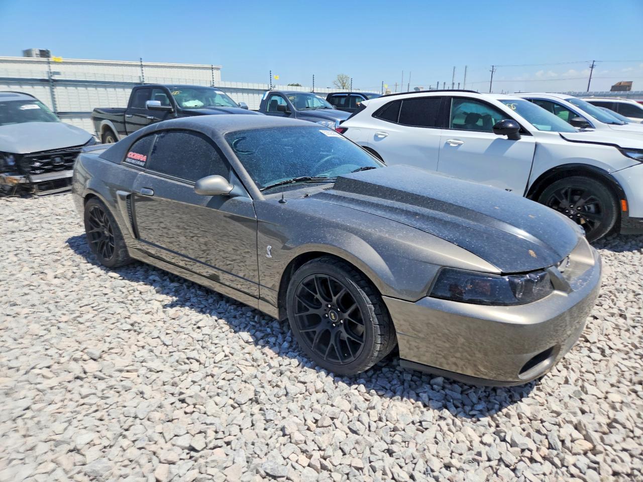 2003 Ford Mustang Cobra Svt Gray vin: 1FAFP48Y93F300084