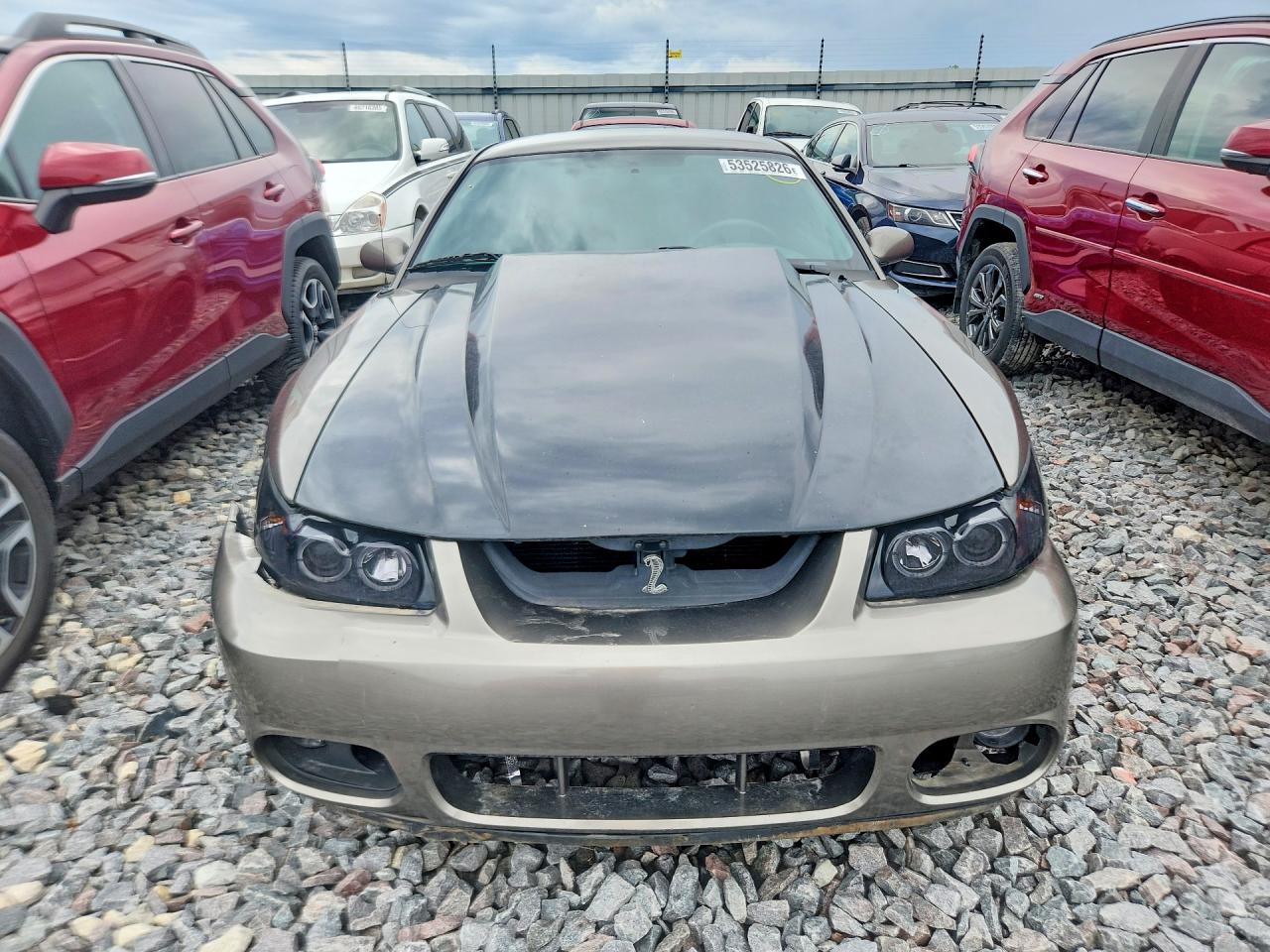 2003 Ford Mustang Cobra Svt Gray vin: 1FAFP48Y93F300084