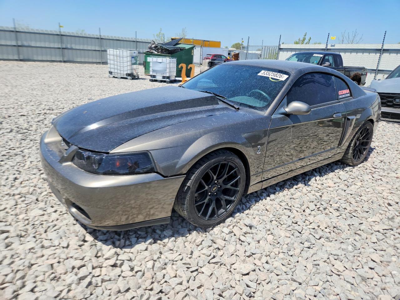 2003 Ford Mustang Cobra Svt Gray vin: 1FAFP48Y93F300084
