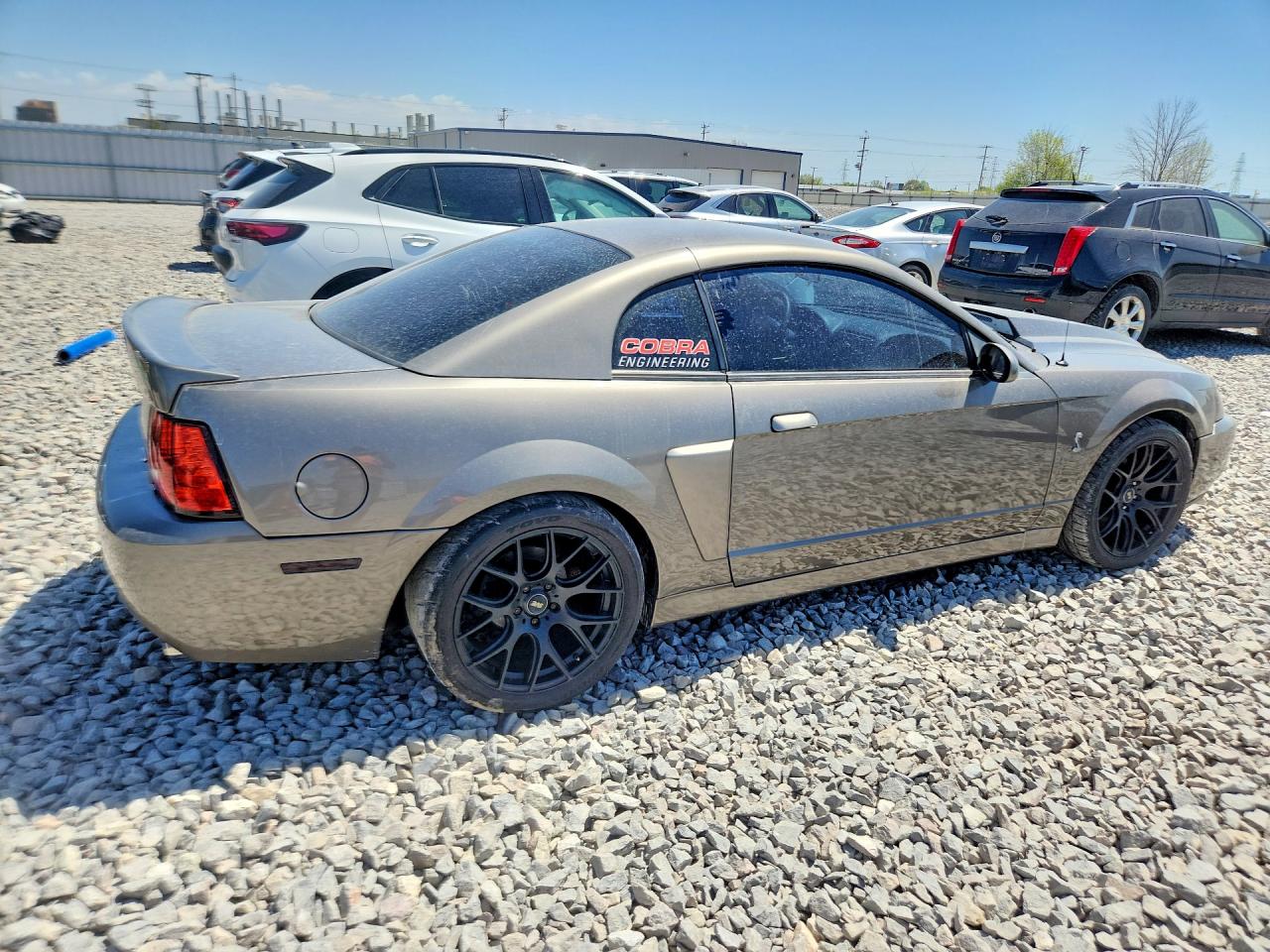2003 Ford Mustang Cobra Svt Gray vin: 1FAFP48Y93F300084