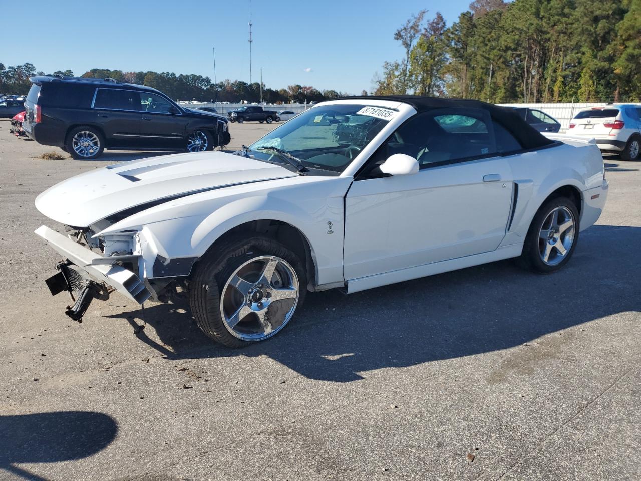 2004 Ford Mustang Cobra Svt Белый vin: 1FAFP49Y44F217243