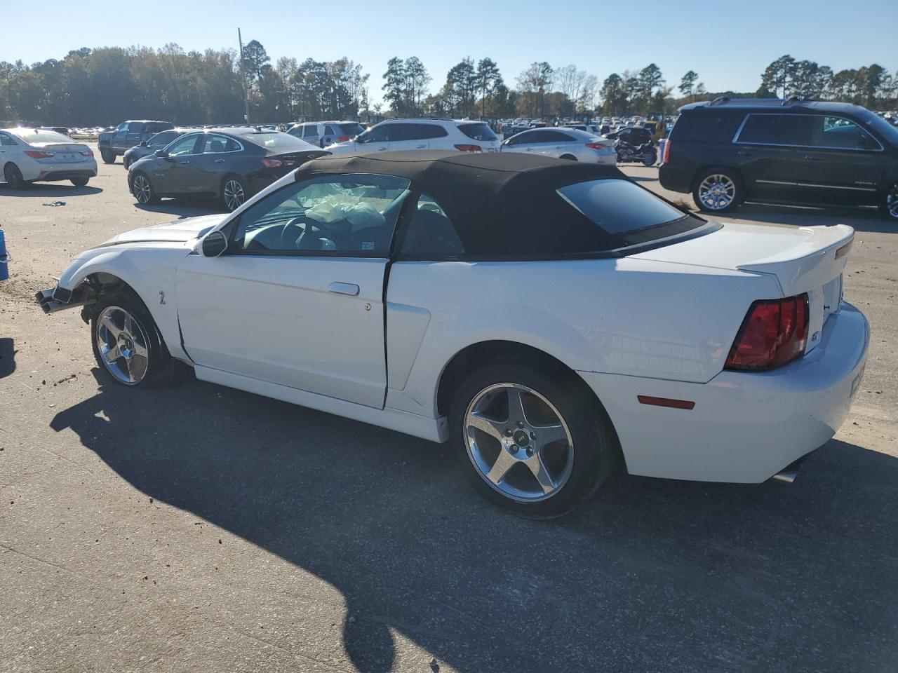 2004 Ford Mustang Cobra Svt White vin: 1FAFP49Y44F217243