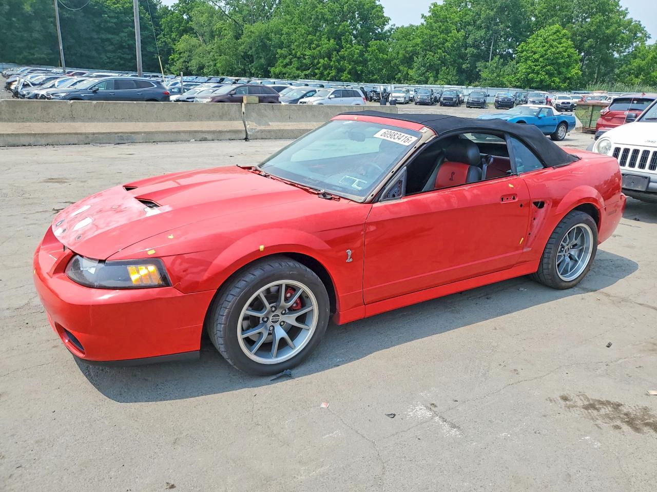 2003 Ford Mustang Cobra Svt Red vin: 1FAFP49YX3F447769