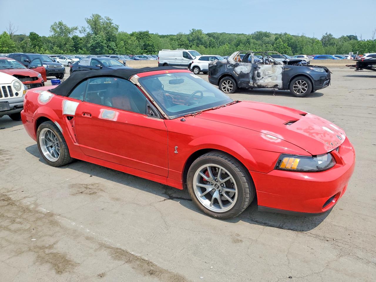 2003 Ford Mustang Cobra Svt Red vin: 1FAFP49YX3F447769