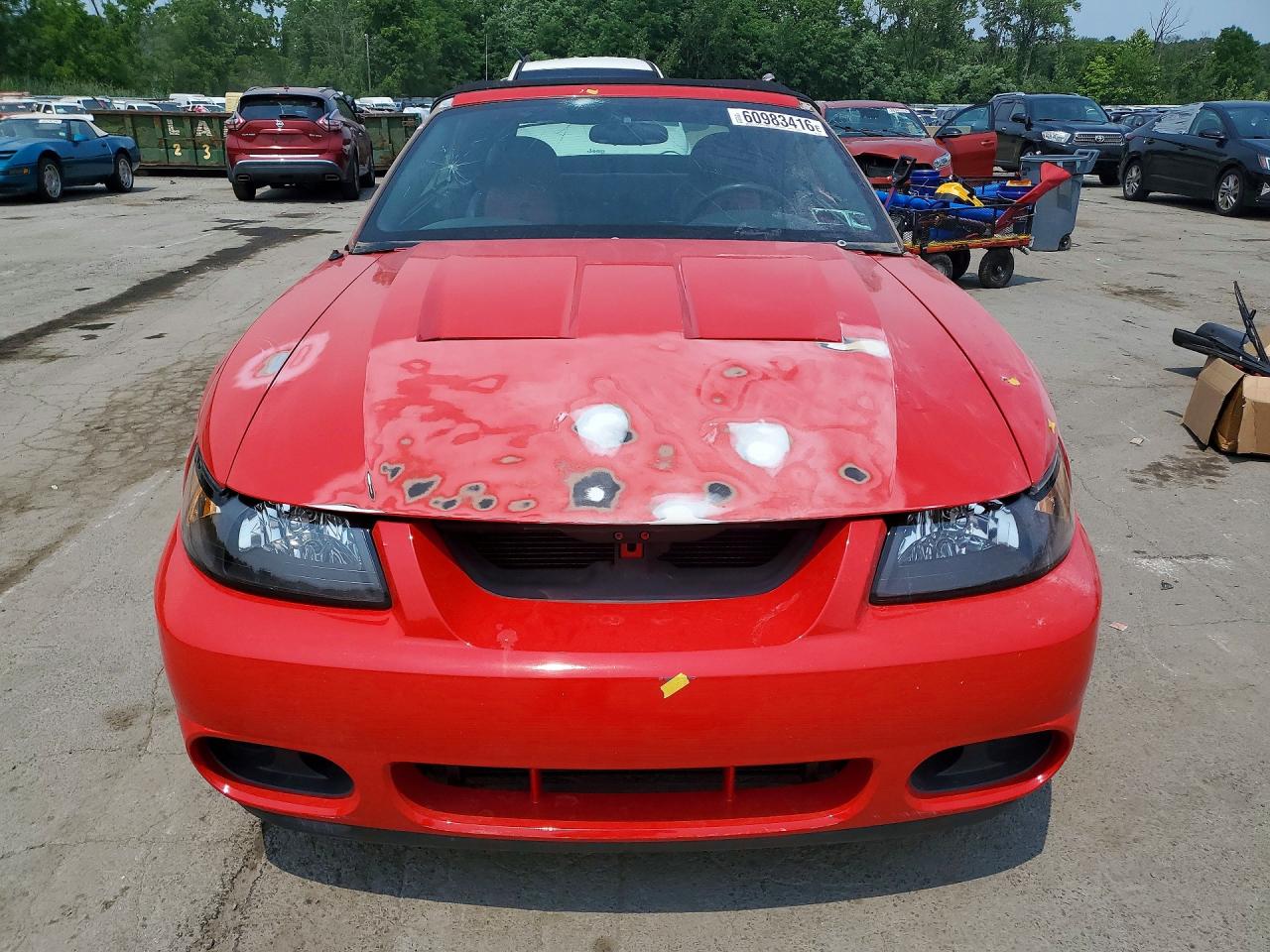 2003 Ford Mustang Cobra Svt Red vin: 1FAFP49YX3F447769