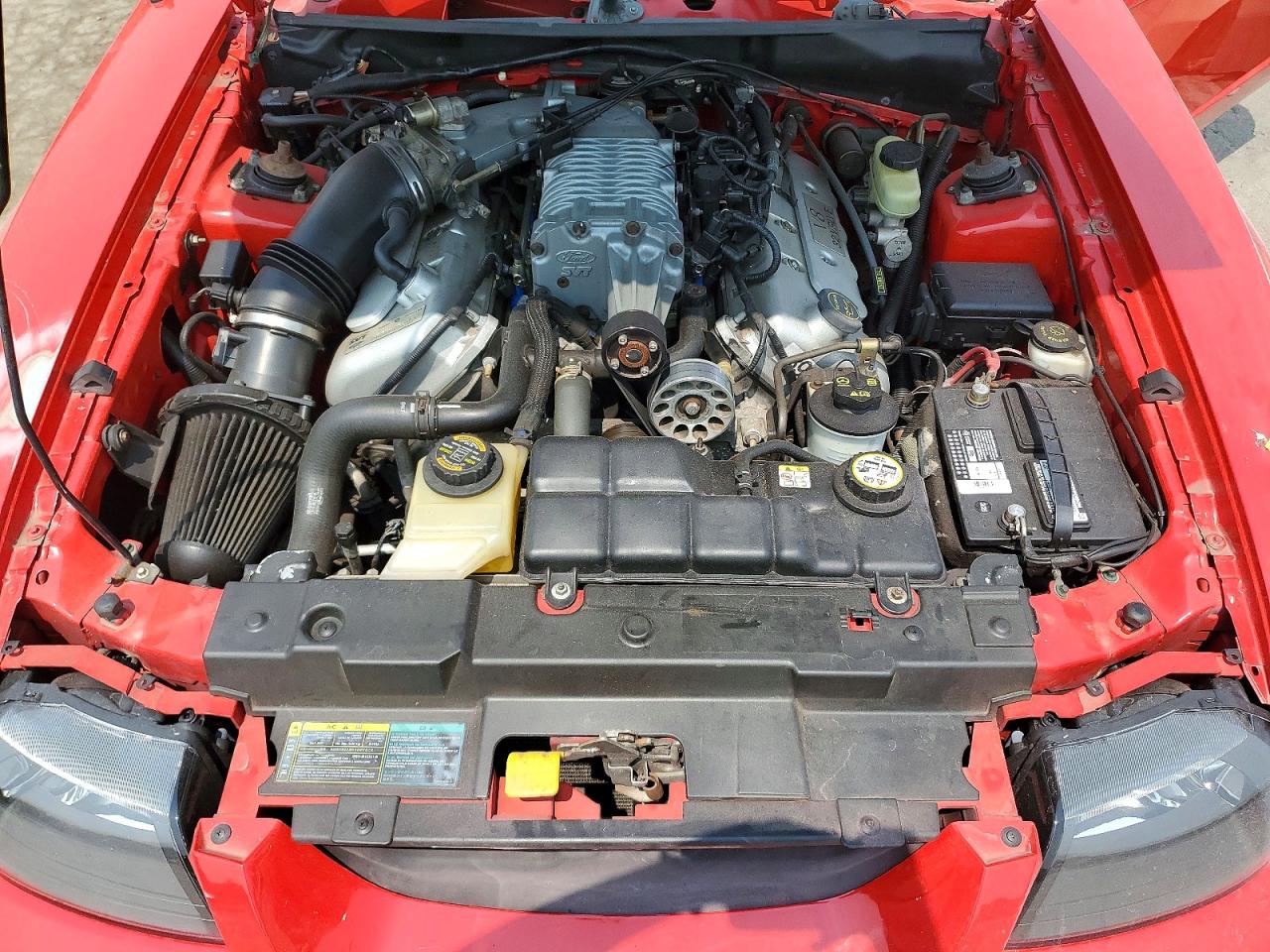 2003 Ford Mustang Cobra Svt Red vin: 1FAFP49YX3F447769