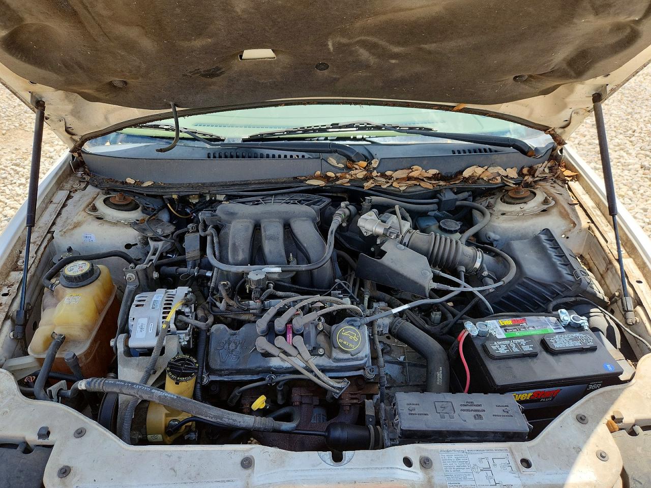 2004 Ford Taurus Ses Белый vin: 1FAFP55U14A153023