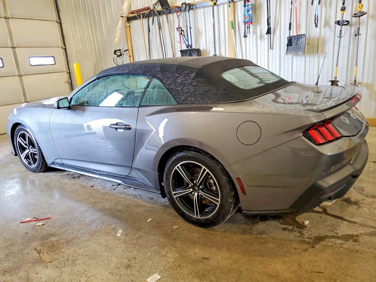 2025 Ford Mustang Серый vin: 1FAGP8UH6S5105355