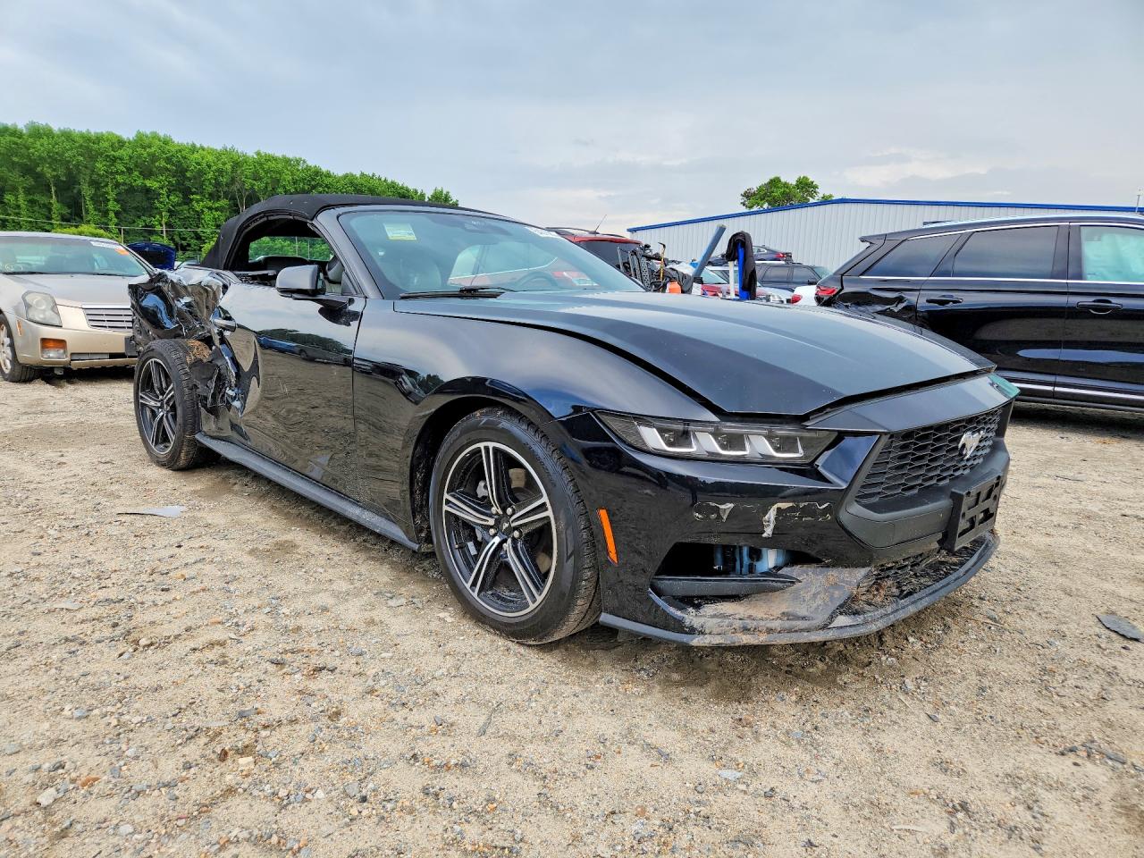 2024 Ford Mustang Black vin: 1FAGP8UH7R5126726