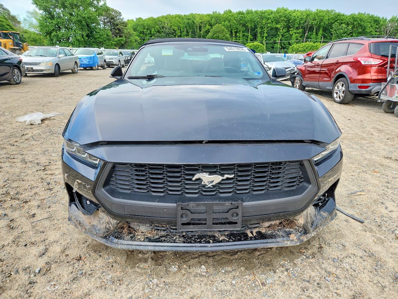2024 Ford Mustang Black vin: 1FAGP8UH7R5126726