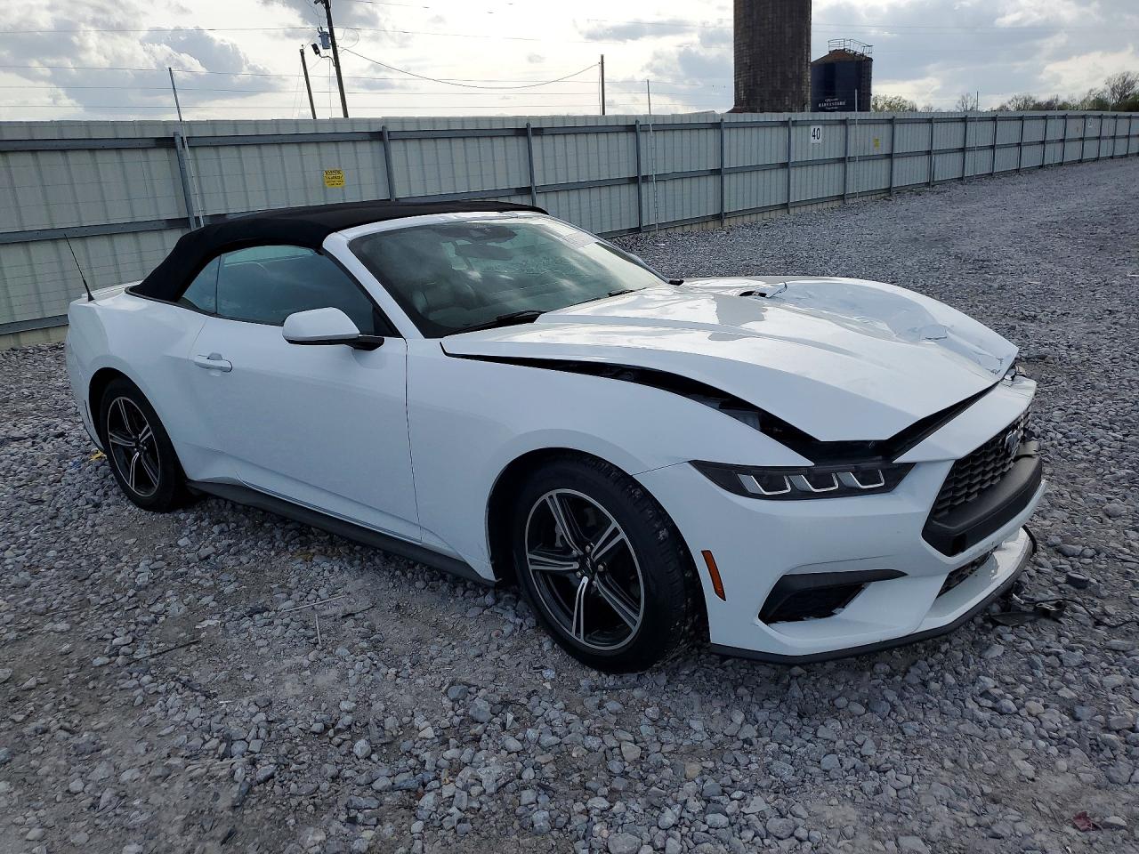 2024 Ford Mustang White vin: 1FAGP8UH8R5124287