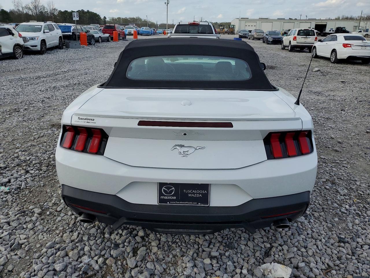2024 Ford Mustang White vin: 1FAGP8UH8R5124287