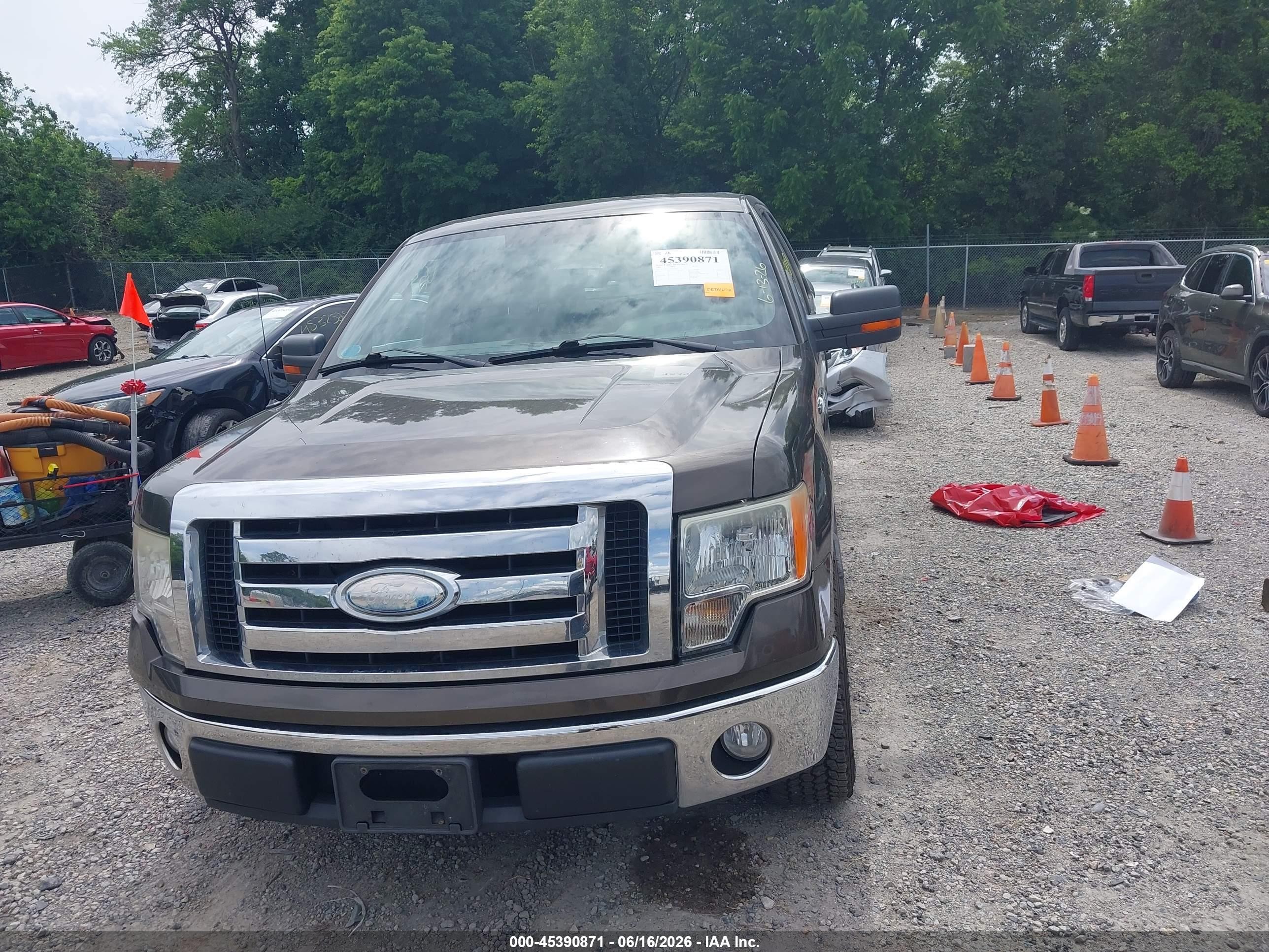 2009 Ford F150 Beige vin: 1FAGW12839FA97350