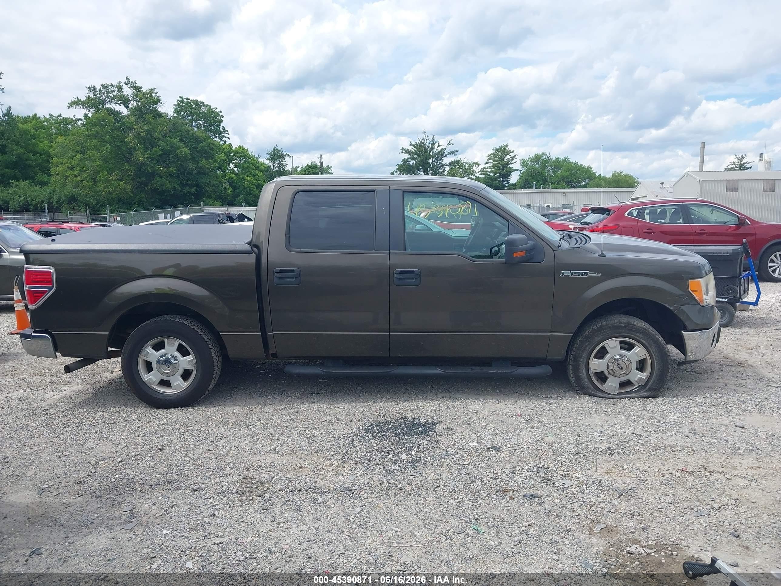 2009 Ford F150 Beige vin: 1FAGW12839FA97350