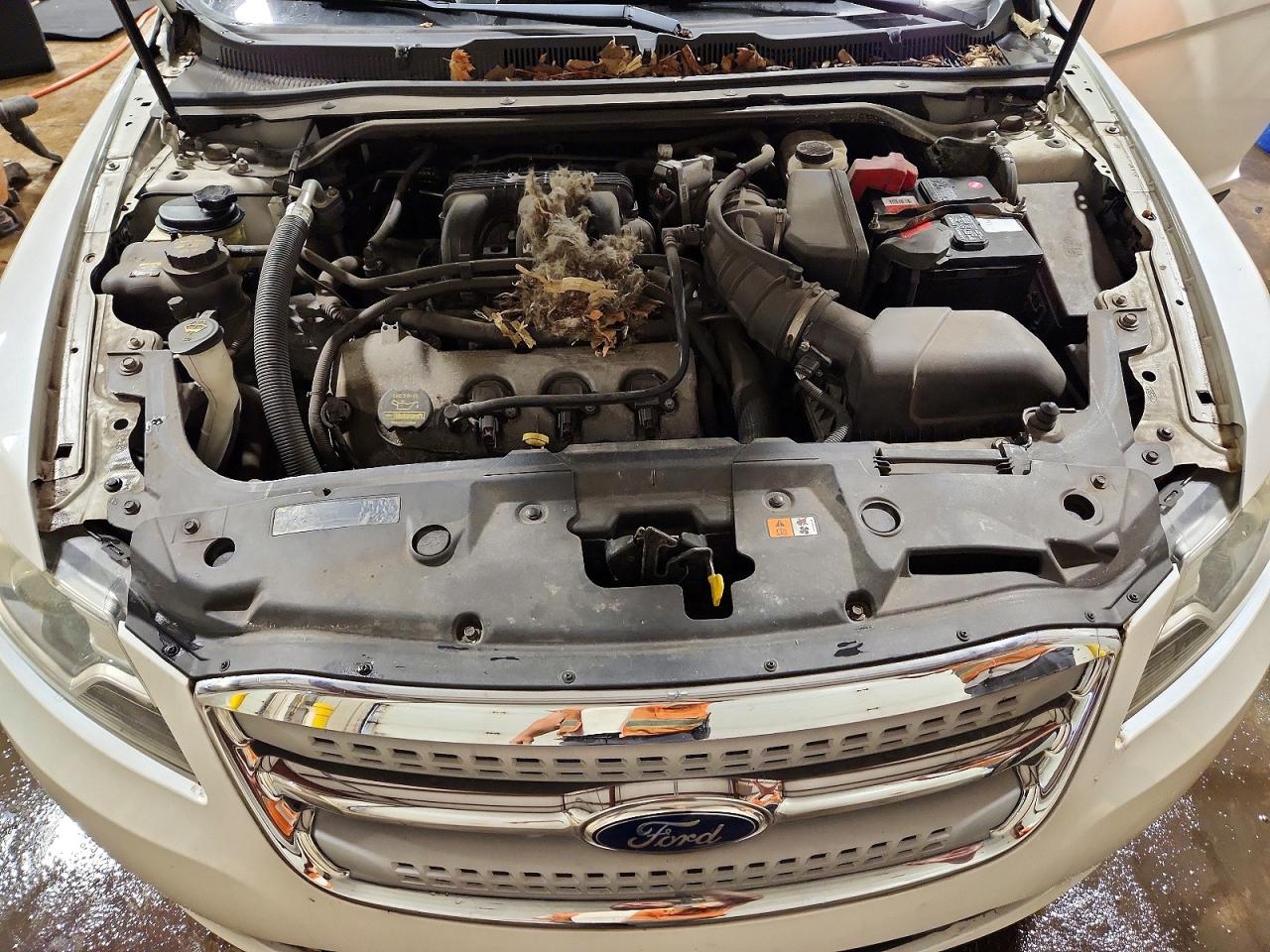 2011 Ford Taurus Sel White vin: 1FAHP2EW9BG176570
