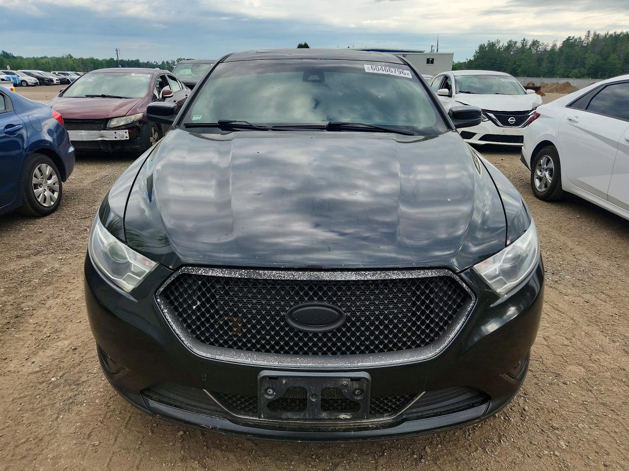 2013 Ford Taurus Sho Black vin: 1FAHP2KT1DG145424