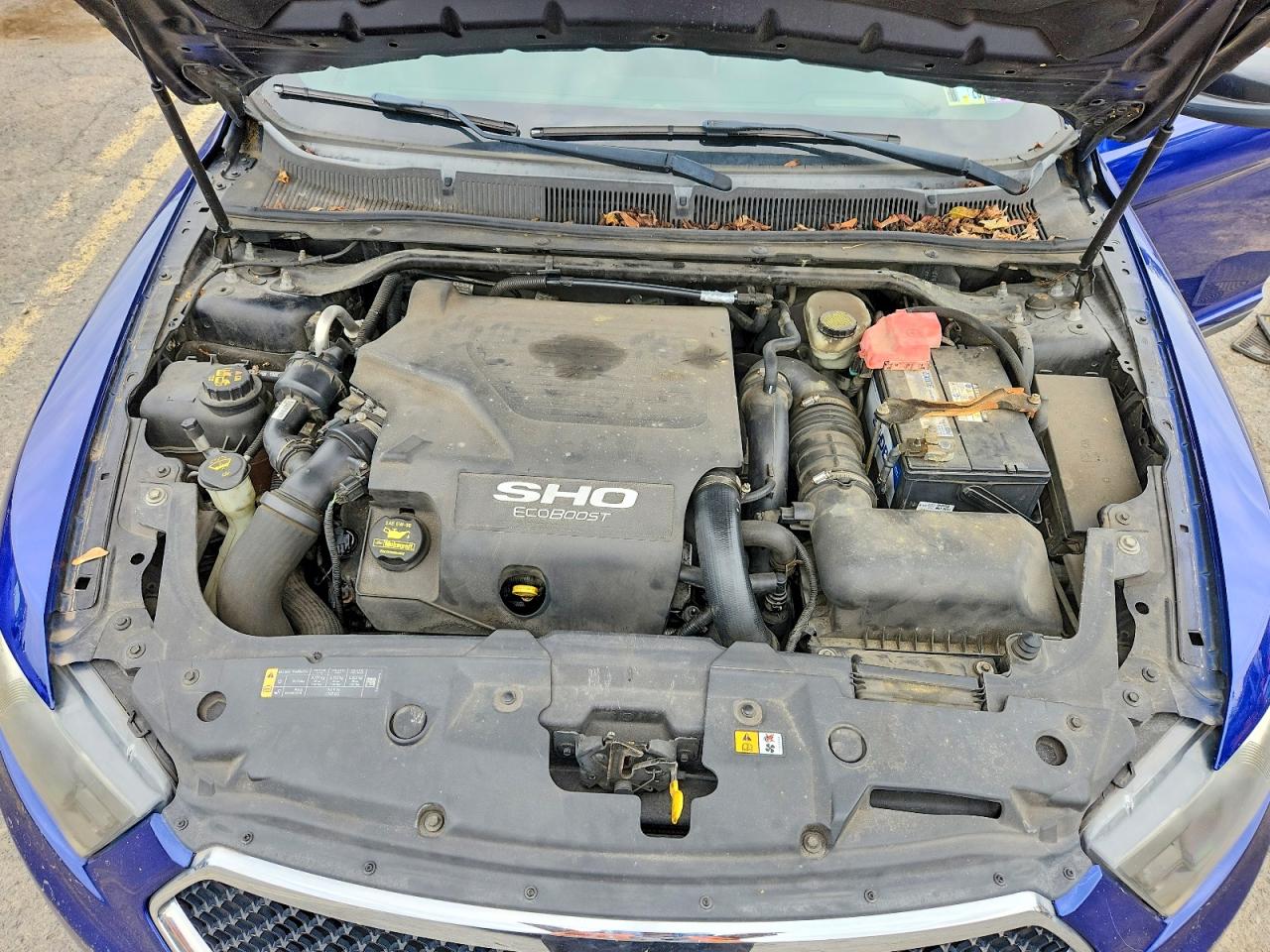2013 Ford Taurus Sho Blue vin: 1FAHP2KT9DG170667