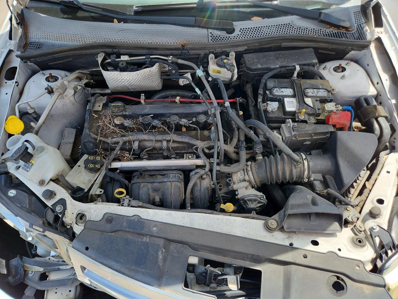 2008 Ford Focus S/se White vin: 1FAHP34N48W123594