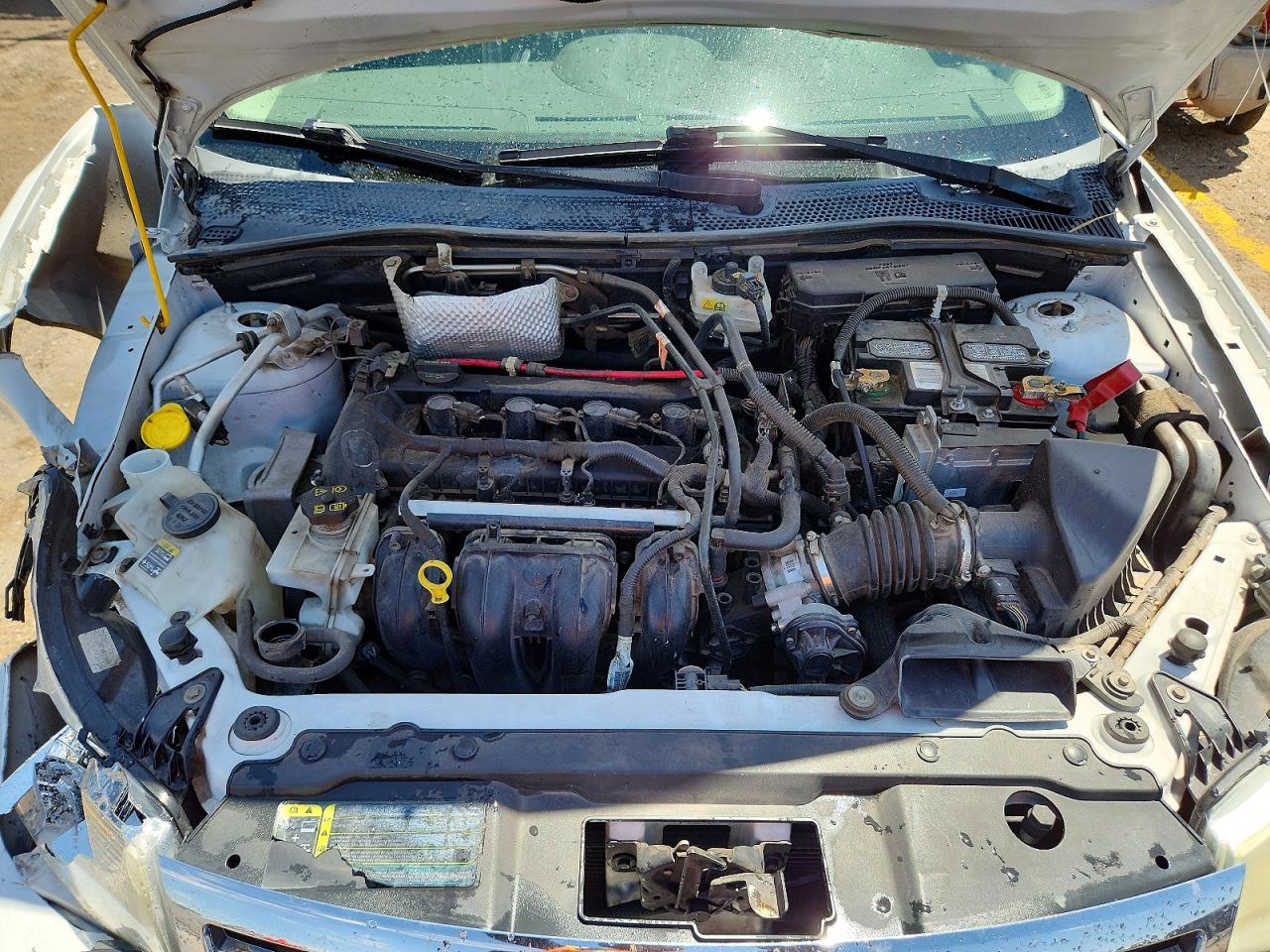 2008 Ford Focus S/se White vin: 1FAHP34N58W188714