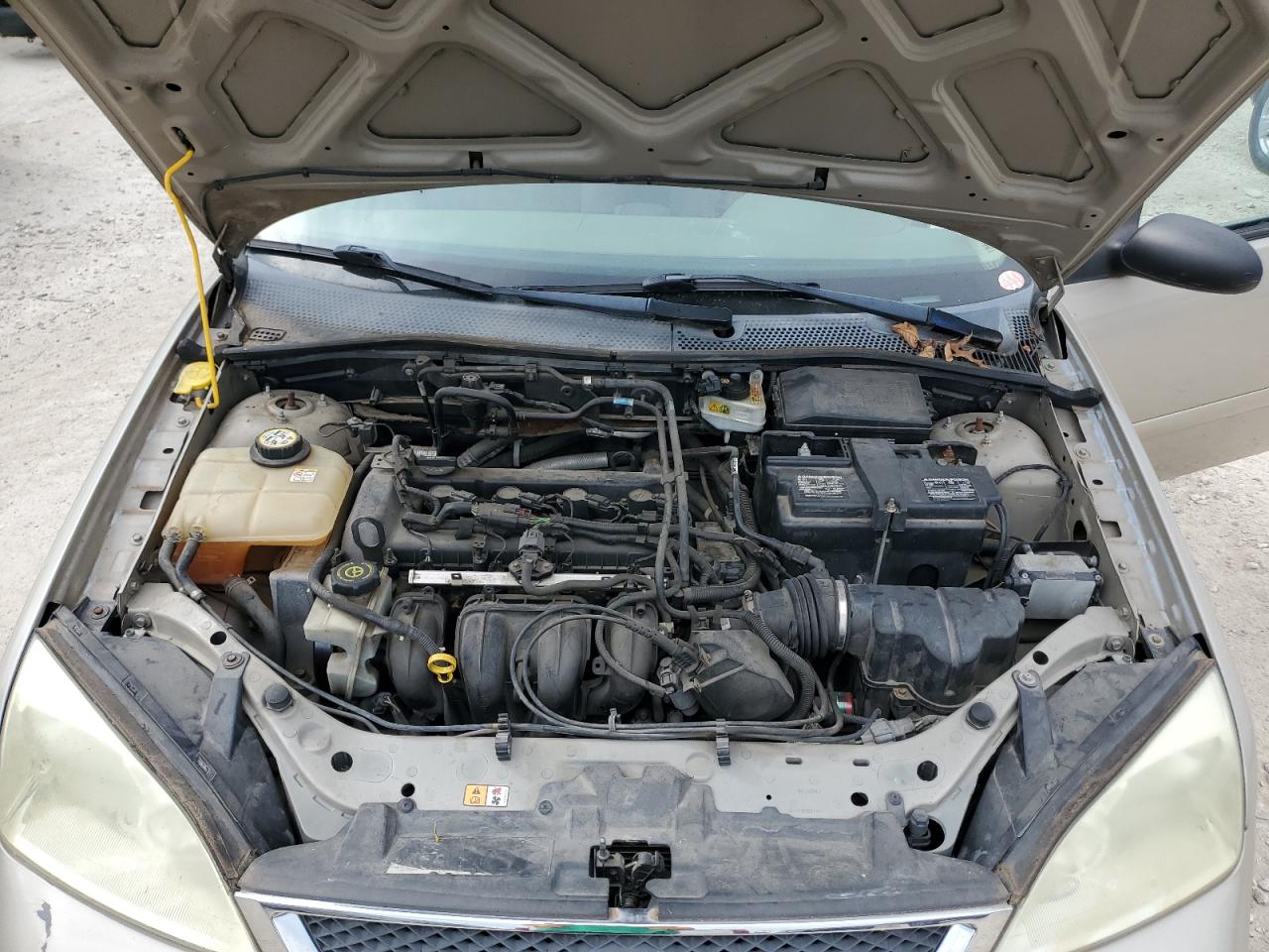 2006 Ford Focus Zx4 Beige vin: 1FAHP34N66W210703