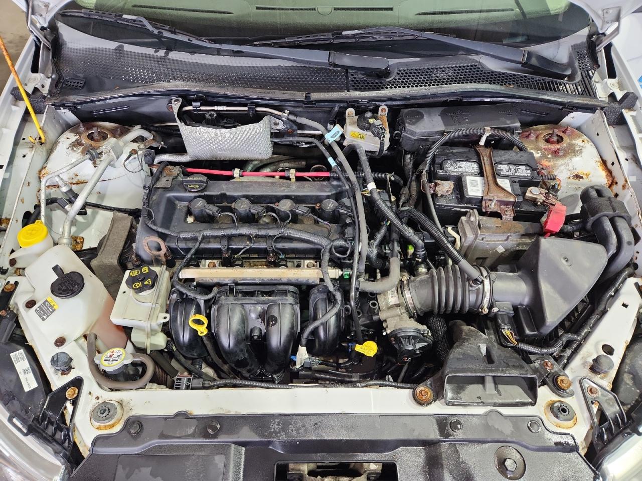 2008 Ford Focus Se White vin: 1FAHP35N58W148079 Damage: Frame, Rust, Naaa Acceptable