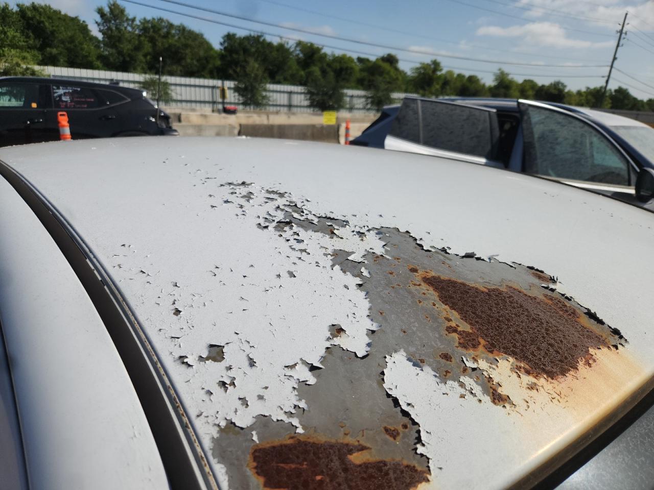 2008 Ford Focus Se Белый vin: 1FAHP35N98W108118 Damage: Roof, Corrosion, > 12 Inches