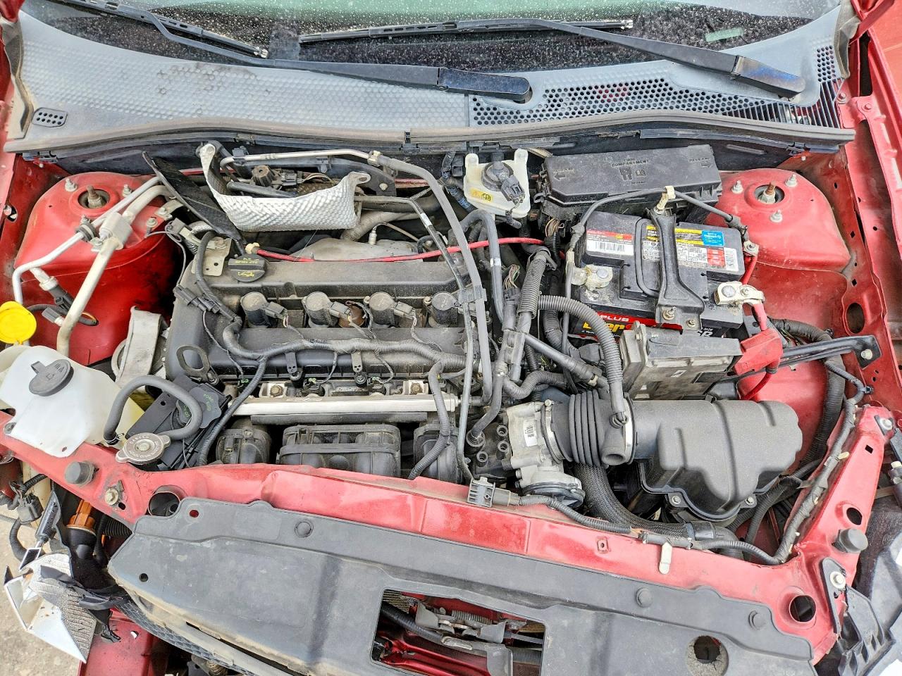 2009 Ford Focus Se Красный vin: 1FAHP35N99W101459