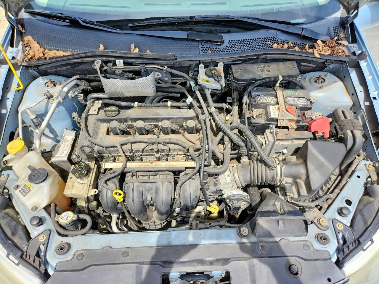 2009 Ford Focus Se Blue vin: 1FAHP35N99W116110