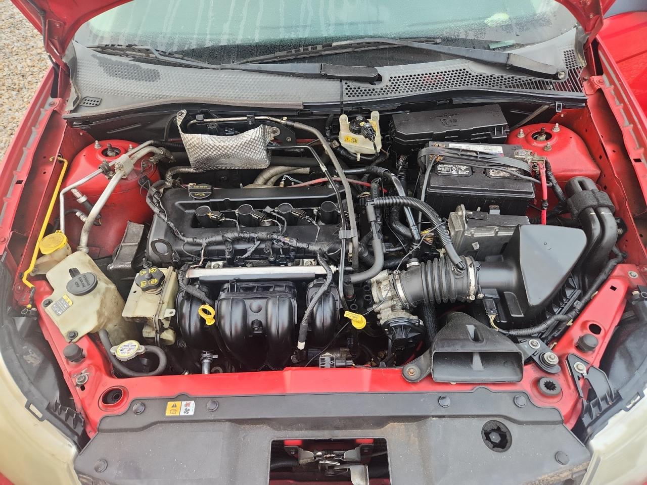 2008 Ford Focus Se Red vin: 1FAHP35NX8W245259