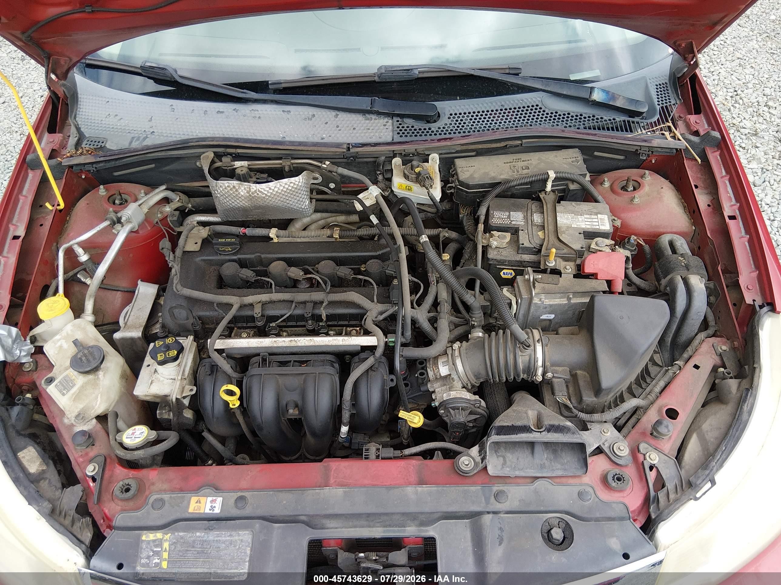 2009 Ford Focus Ses Red vin: 1FAHP36N49W179940