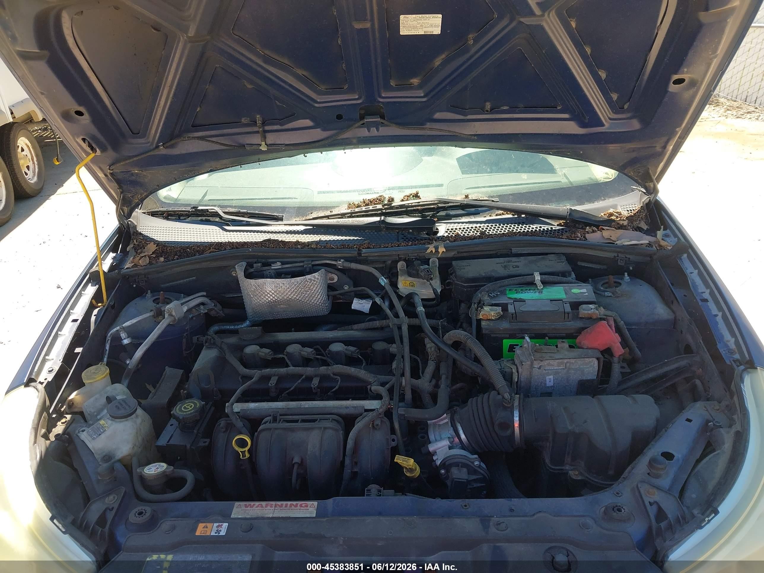 2009 Ford Focus Ses Blue vin: 1FAHP36N89W219100