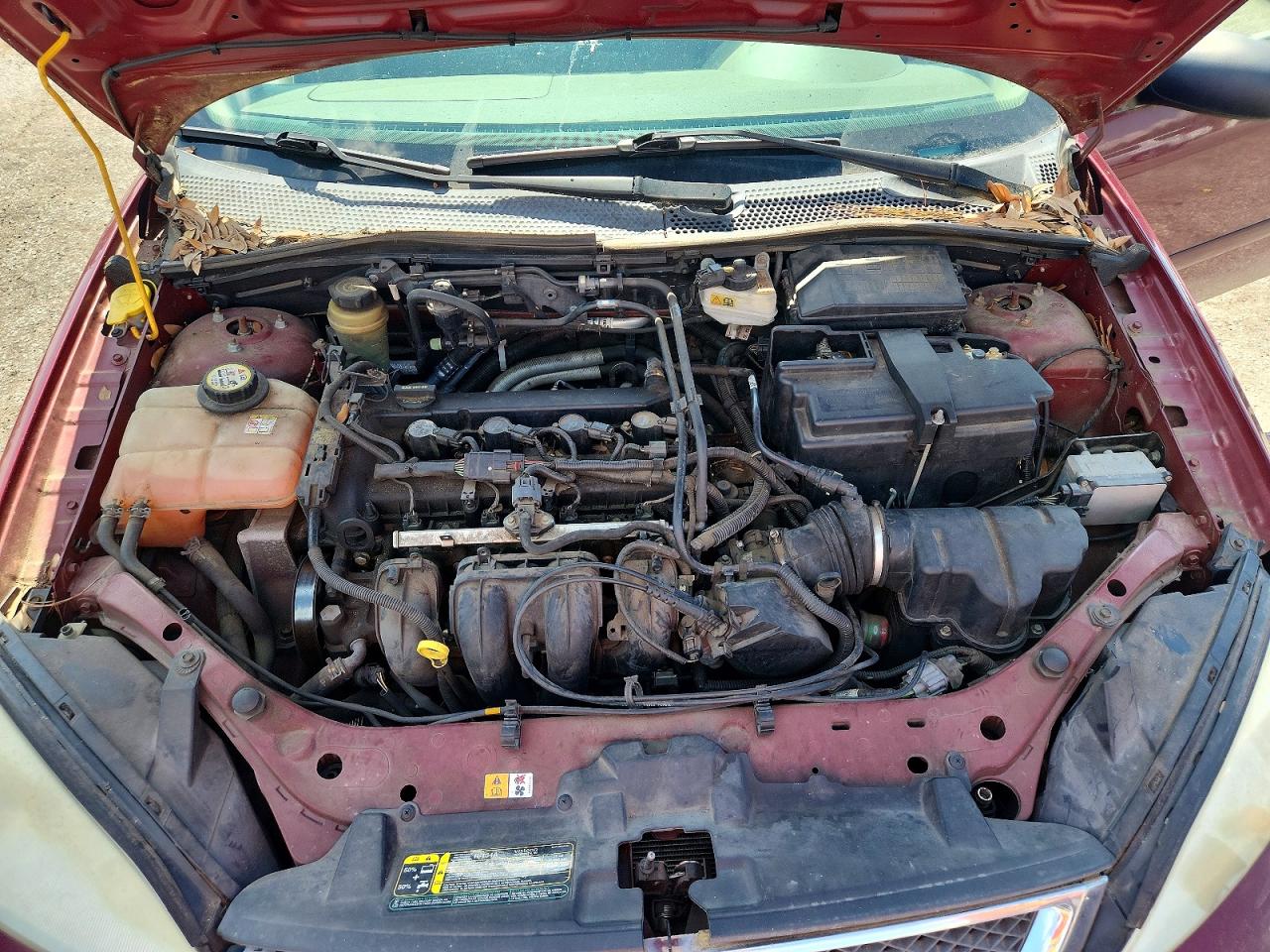 2006 Ford Focus Burgundy vin: 1FAHP36NX6W122671