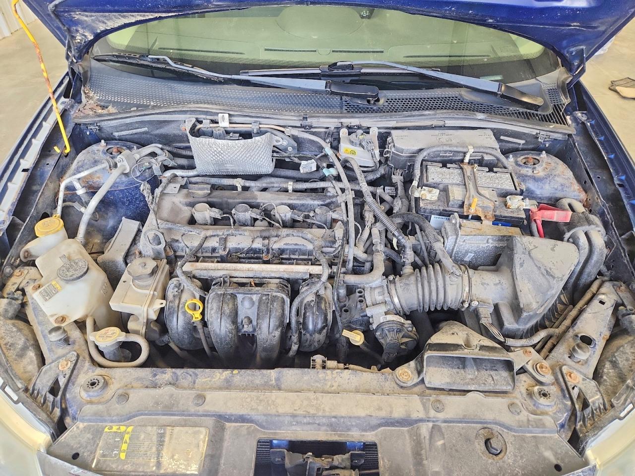 2009 Ford Focus Ses Blue vin: 1FAHP36NX9W223133