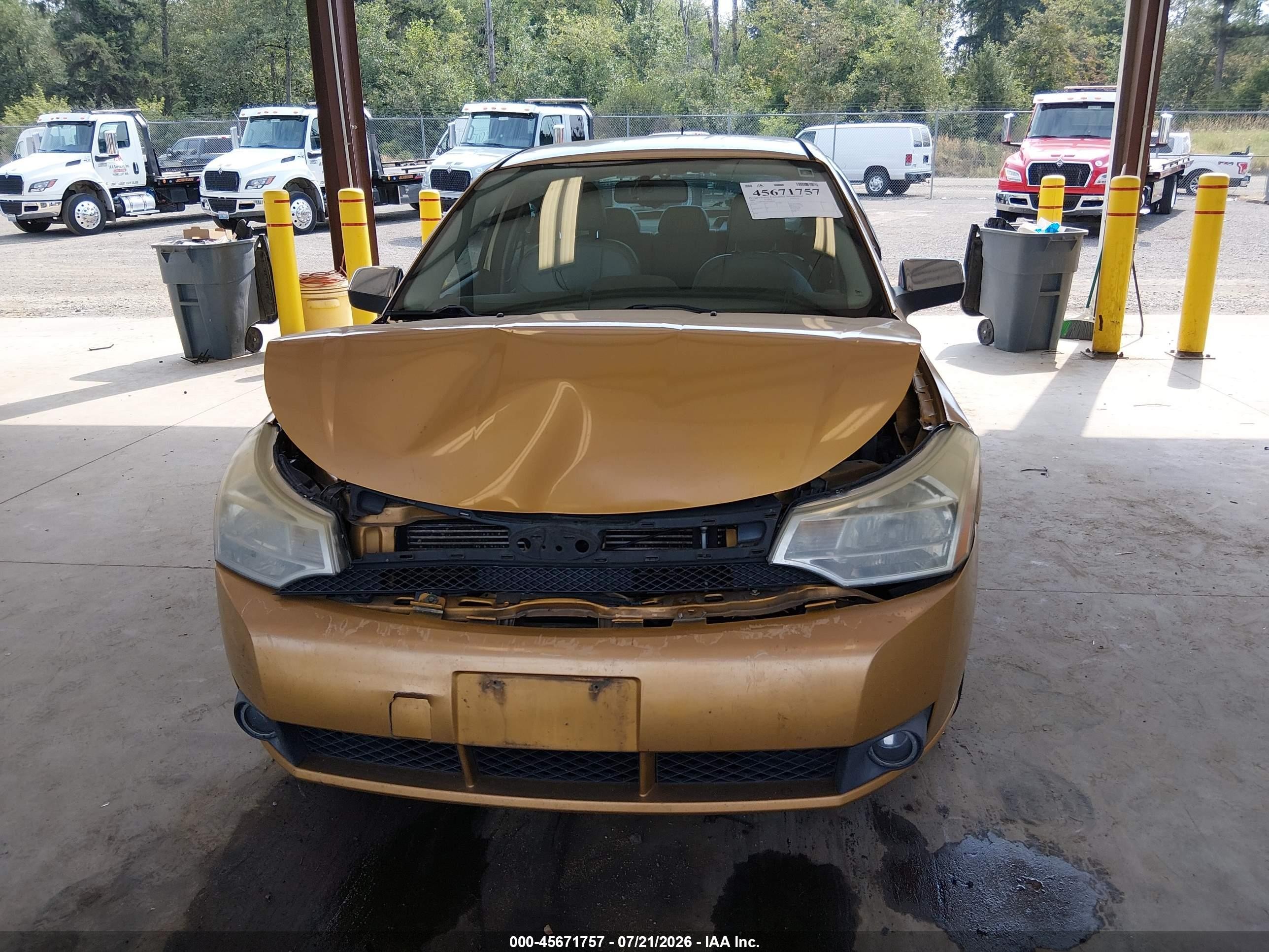 2009 Ford Focus Sel Золотой vin: 1FAHP37N19W168408