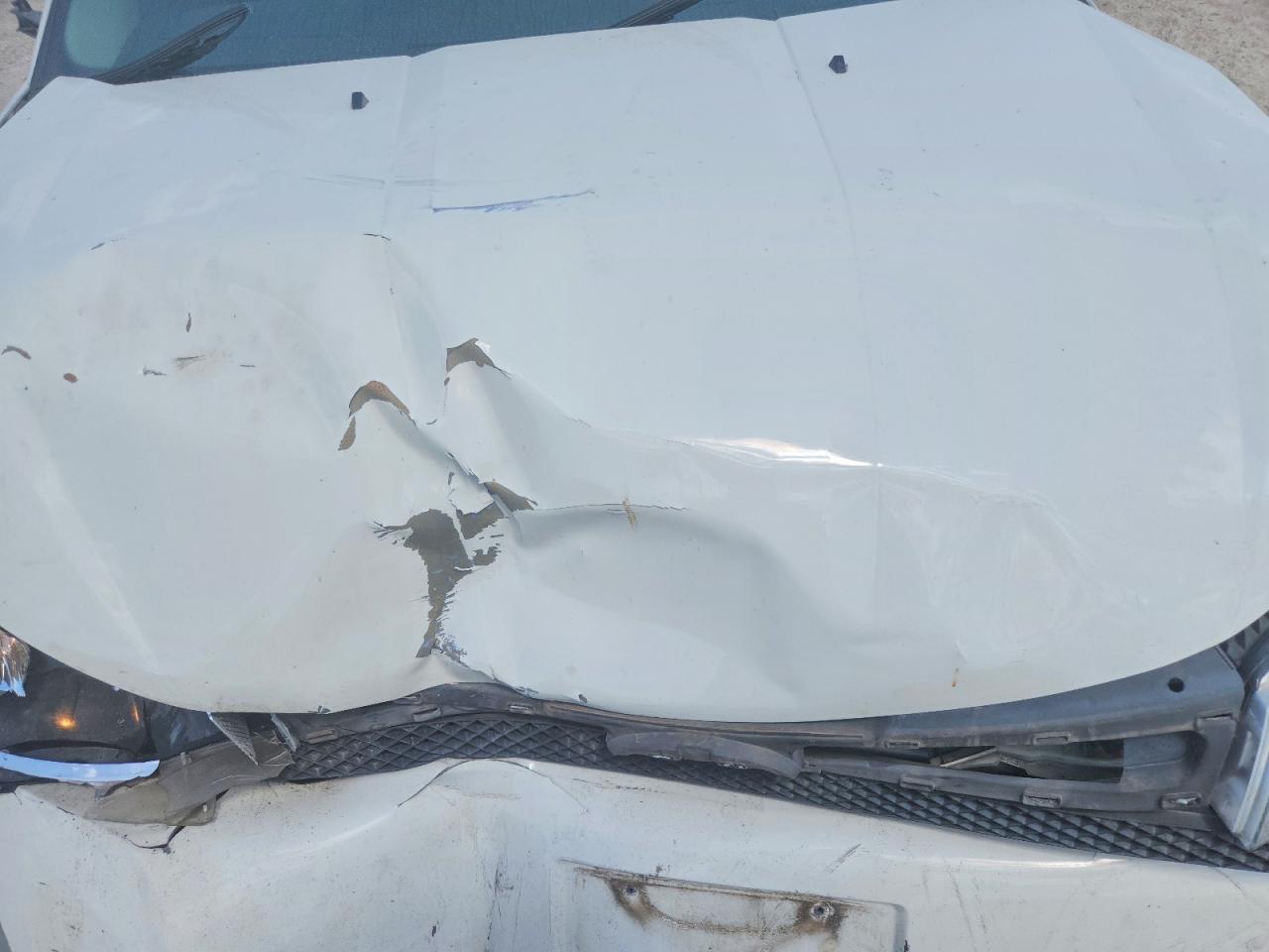 2010 Ford Focus S White vin: 1FAHP3EN0AW262609
