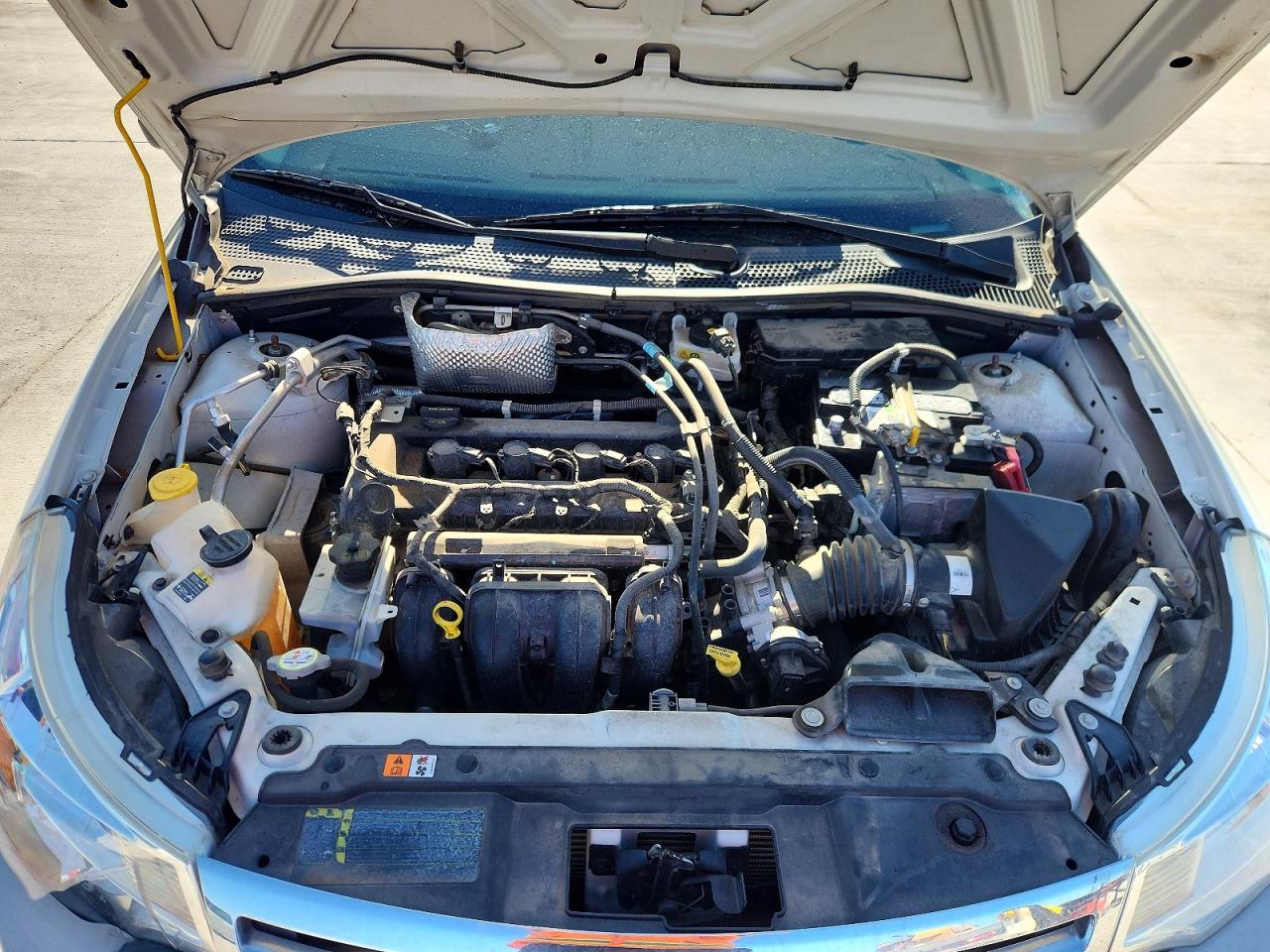 2010 Ford Focus Белый vin: 1FAHP3EN1AW247505