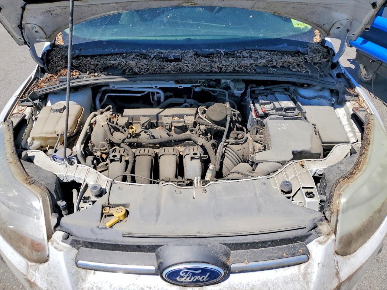 2012 Ford Focus White vin: 1FAHP3F21CL169798
