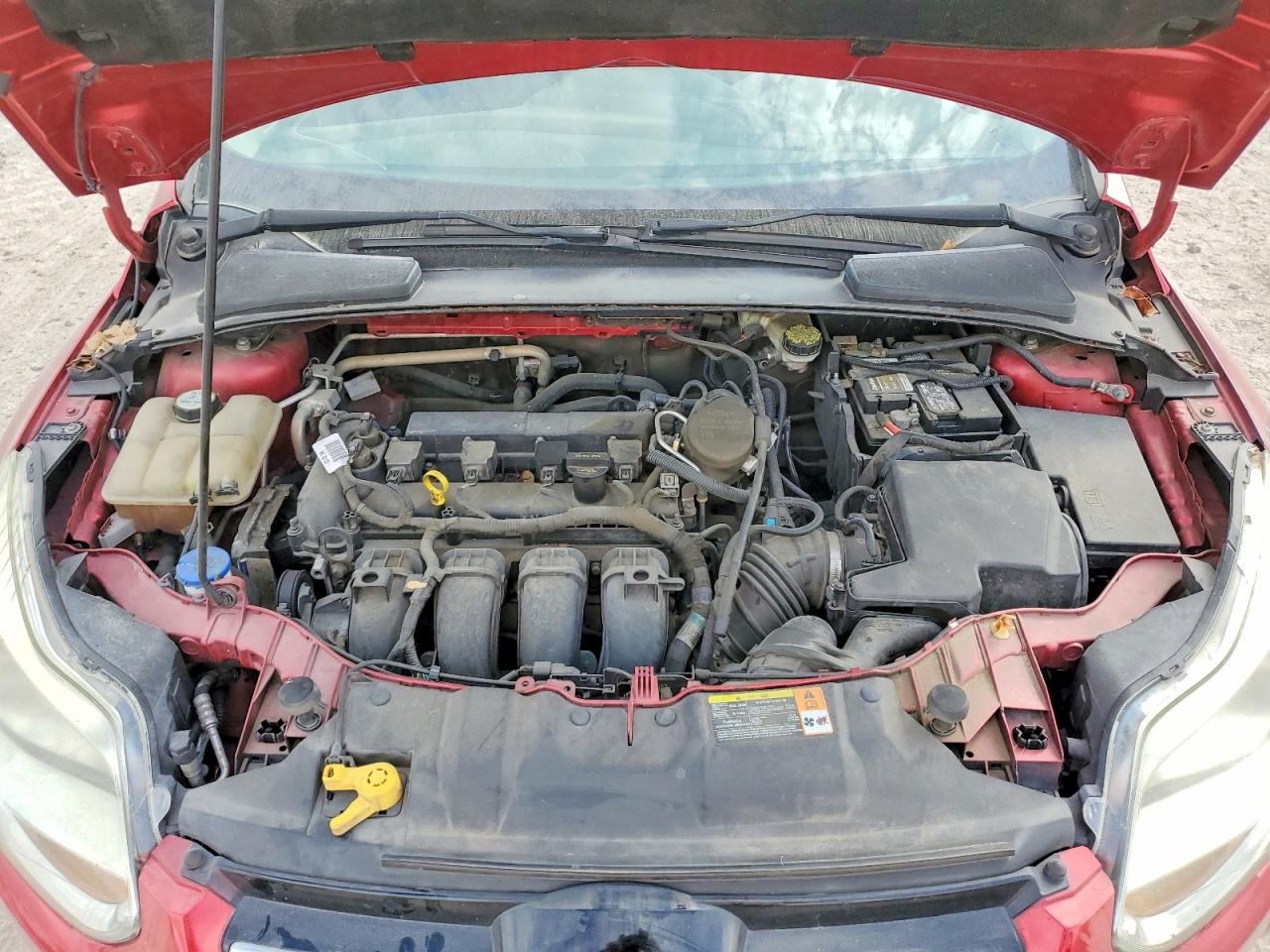 2012 Ford Focus Se Красный vin: 1FAHP3F22CL449584