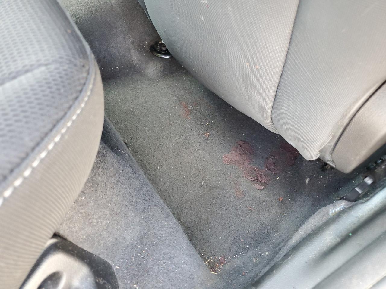 2012 Ford Focus Se Black vin: 1FAHP3F24CL127870 Damage: Right Rear Carpet, Stained, Permanent