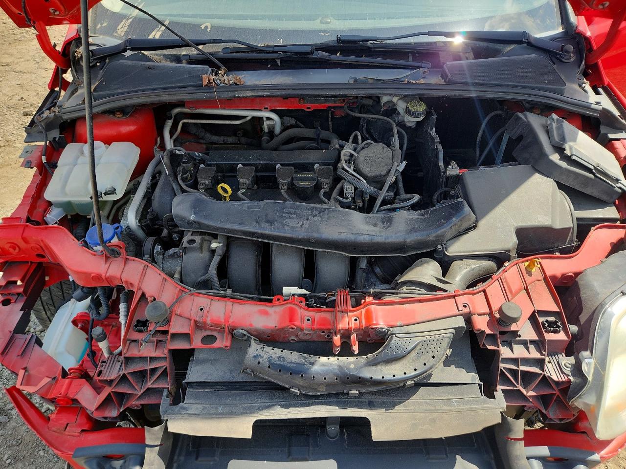 2012 Ford Focus Se Red vin: 1FAHP3F24CL239326
