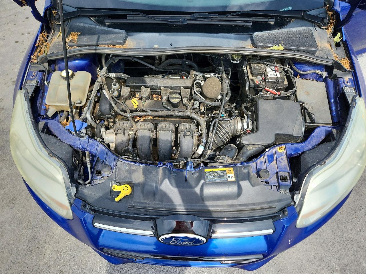 2012 Ford Focus Se Blue vin: 1FAHP3F25CL279110